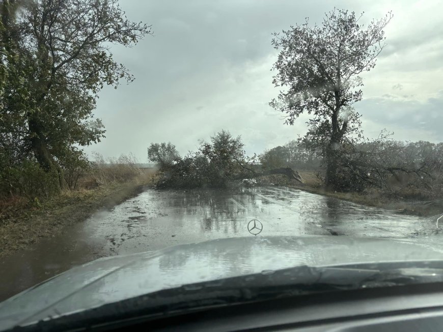 Вятърът отнесе част от покриви в Тервел и Ловчанци