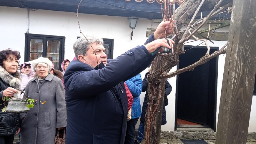 В Каварна зарязаха лозите за плодородие и добри дни за винарите