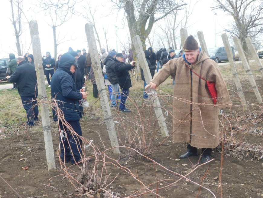 Петър Петров е новият „Цар на виното” в Шабла