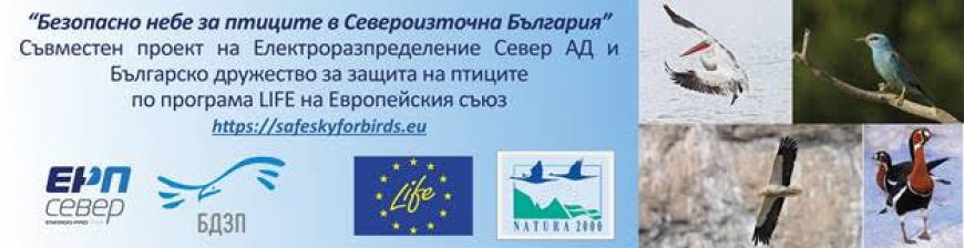ЕРП Север и Българско дружество за защита на птиците успешно приключиха дейностите по поставяне на гнездилки за синявица и червенонога ветрушка