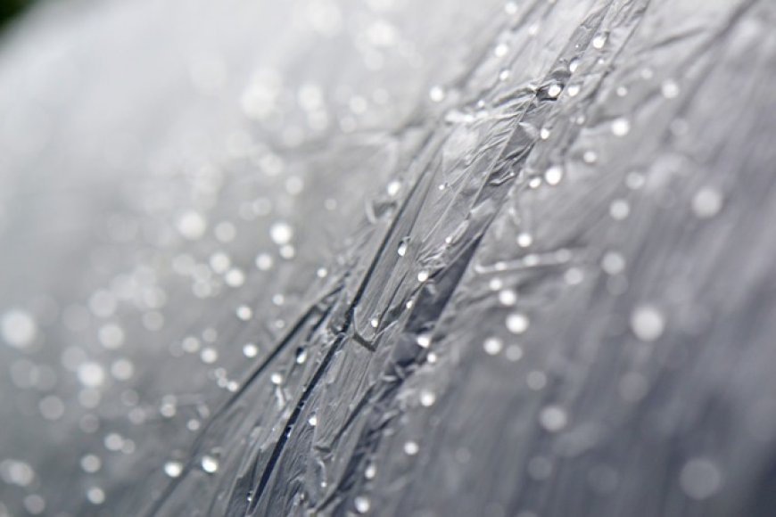 Жълт код за интензивни валежи в Добрич и още шест области в страната