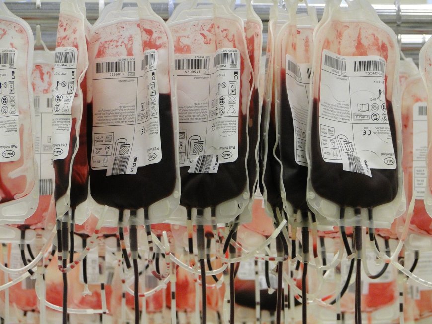 23 май – Световен ден на кръводарителя