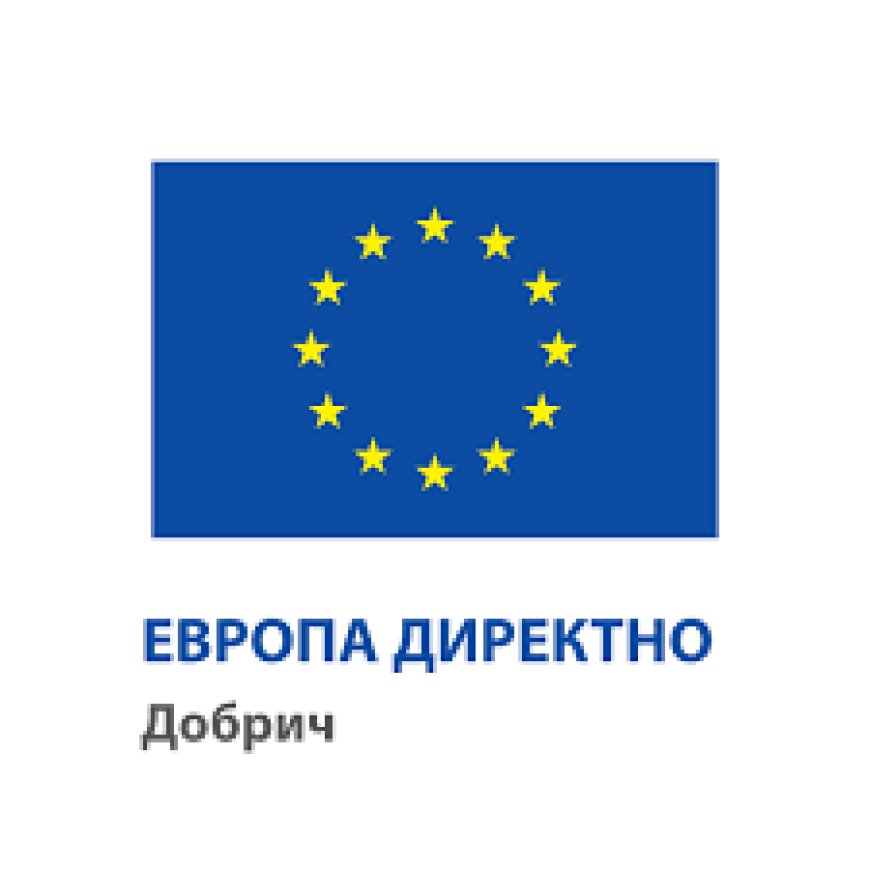 Европа Директно Добрич организира   уебинар за изкуствения интелект
