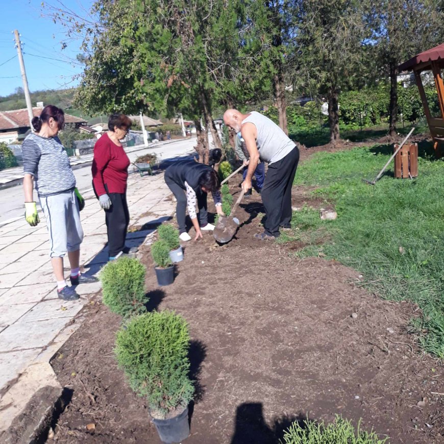 Доброволците от Коритен засадиха дръвчета и цветя около паметника на загиналите