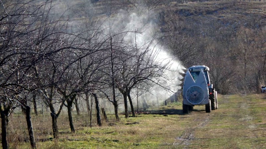 ДФЗ преведе на овощарите над 1,6 млн. лева втори транш по схемата за зимни пръскания