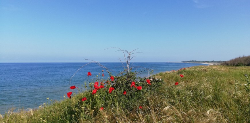 Проби от морската вода край „Иканаталъка“ са взети заради сигнали за умряла риба