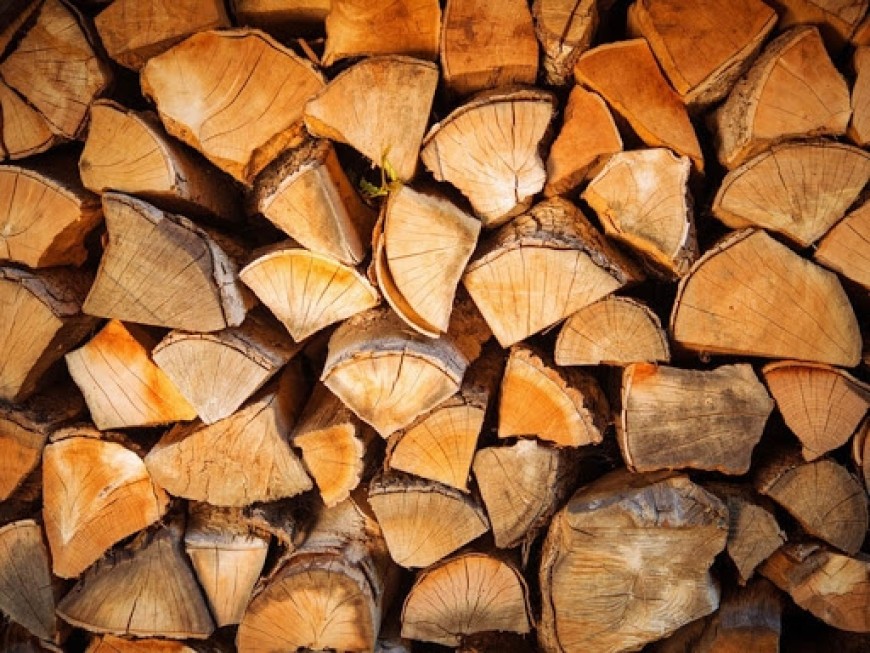 Над 3800 домакинства в Добричка област са получили  дърва за огрев